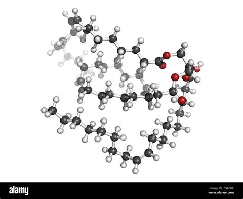 Triglycerides Molecule Structure