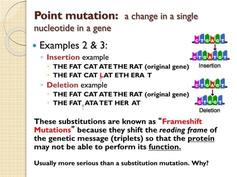 Ppt Mutations Powerpoint Presentation Free Download Id3749401