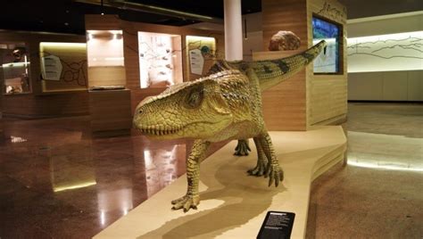 Apertura Straordinaria Gratuita Museo Geologico Di Predazzo