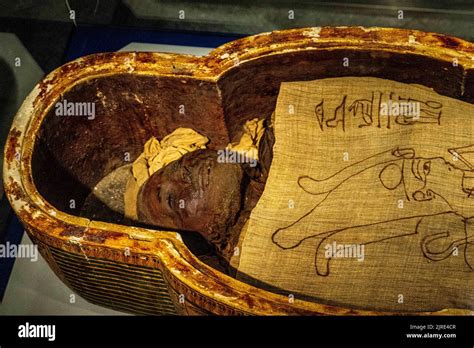Mummification Museum Intended To Provide An Understanding Of The