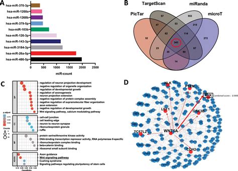 Bioinformatics Analysis Of Mir 26a 5p Target Genes A Mirna Sequencing