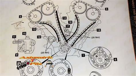 Diagramas De Cadenas De Tiempo Todos Modelos De Carros Todo