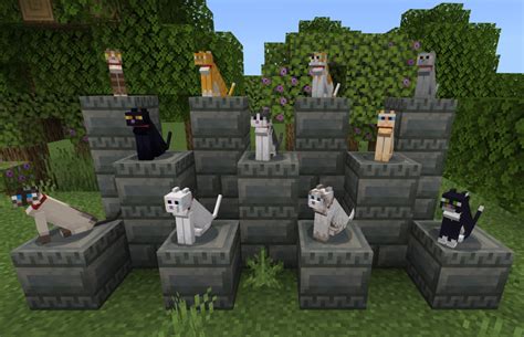 Cat Minecraft Wiki