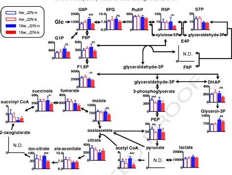 Figure 2 From Global Metabolomic Analysis Of Heart Tissue In A Hamster