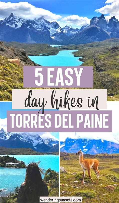 5 Easy Day Hikes In Torres Del Paine Artofit