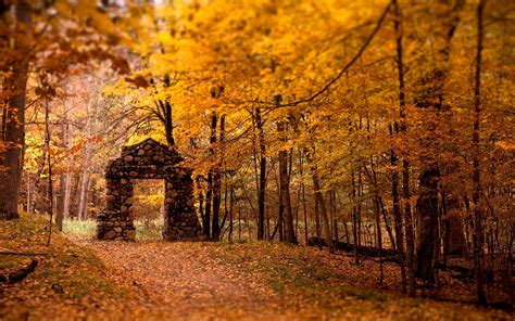 Wallpaper 2560x1600 Px Architecture Fall Forest Nature Old