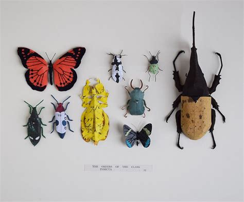 Entomology Display Paper Insect Sculpture Etsy Insects Entomology