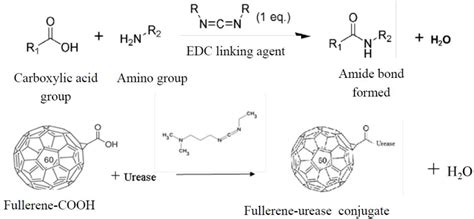 Figure 3 From Potentiometric Urea Biosensor Based On An Immobilised