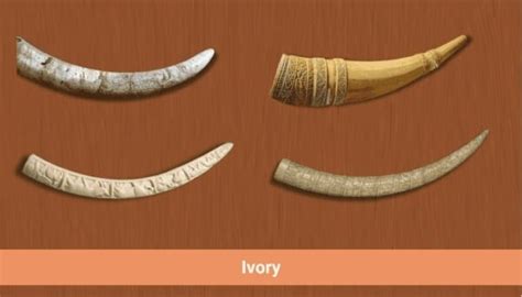 ivory worth ivory   permanently banned  trade