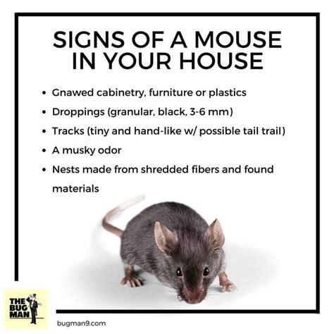 Best Fun Pest Facts Images On Pinterest Pest Control Facts And Ha Ha