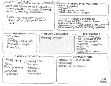 Pulmonary Embolism Concept Map Basic Nur Studocu