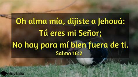 ᐅ Salmo del día Holybiblia