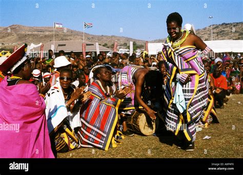 Zulu Reed Dance Ceremonial Participants Natal South Africa Stock