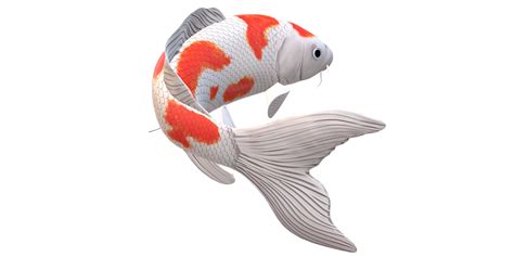 Koi Carp Fish Isolated On A Transparent Background Png