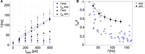 Frontiers Complex Dynamics In Simplified Neuronal Models Reproducing