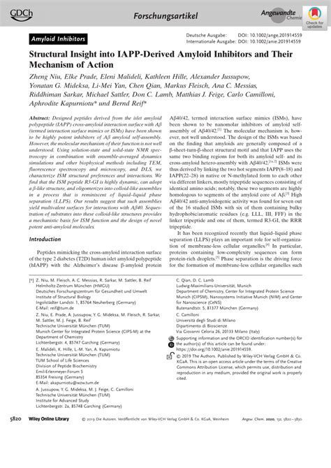 PDF Structural Insight Into IAPPDerived Amyloid Inhibitors And Their