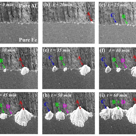 Sequence Of IMCs Nucleation And Growth Obtained From In Situ SEM