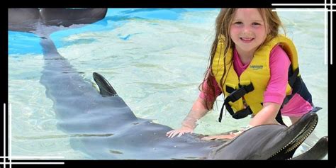 Dolphinaris Cozumel | A Dreamy Dolphin Encounter