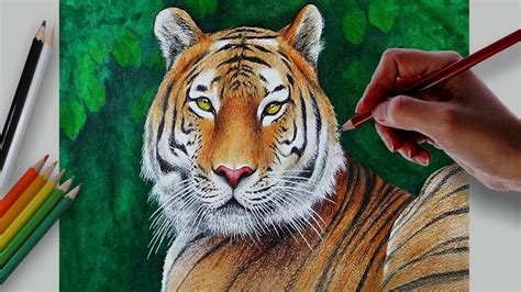 Tiger How To Draw A Royal Bengal Tiger Easy And Simple Steps