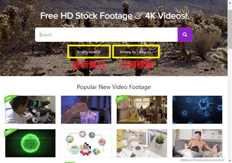 Videezy 高畫質短片素材網站，個人和商業皆可使用免費下載