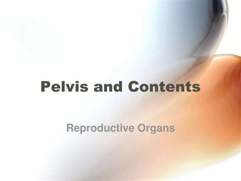 Ppt Pelvis And Contents Powerpoint Presentation Free Download Id259245