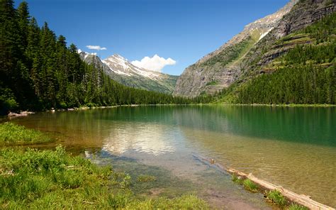 X Avalanche Glacier Montana