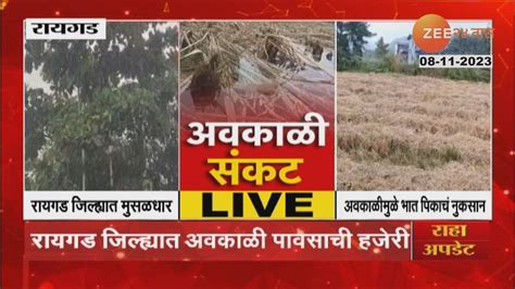 Raigad Rain रायगडमध्ये मुसळधार पाऊस भात पिकांचे नुकसान बळीराजा