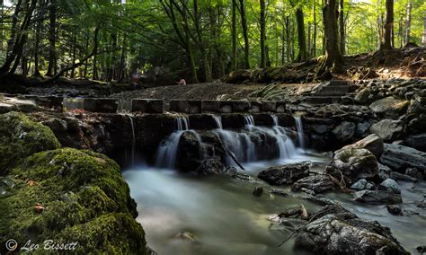 The Stepping Stones The Stepping Stones In Tollymore Fores Flickr