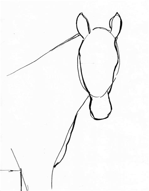 Horse Drawing Easy Step By Step At Getdrawings Free Download