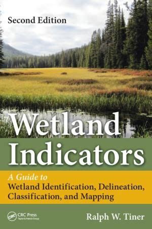 Wetland Indicators A Guide To Wetland Formation Identification