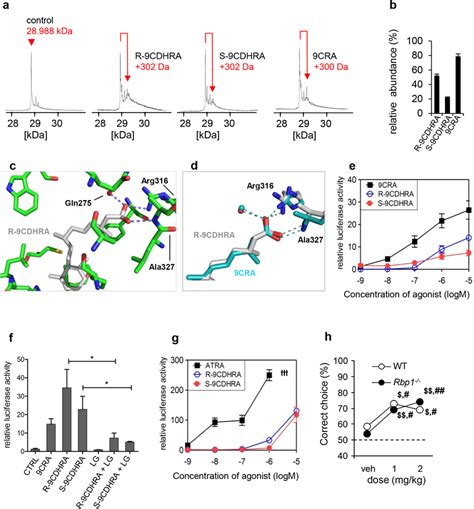 Cdhra Binds And Transactivates Rxr In Vitro And Displays Rxr