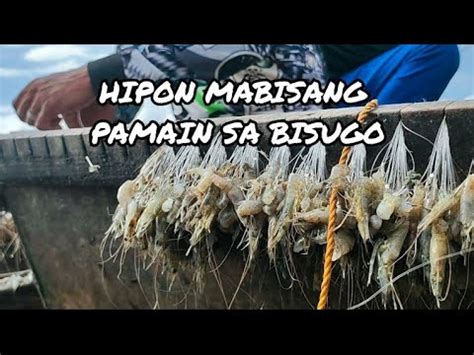 Vlog 061 Long Line Fishing Labay Palangre Kitang De Bisugo Part