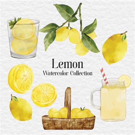 Premium Vector Watercolor Lemon Clip Art Illustration