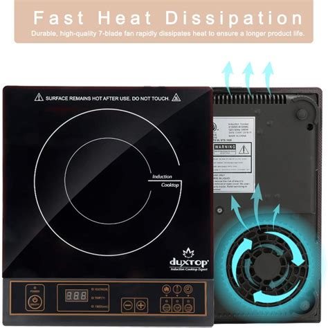 Best Induction Cooktop With Downdraft (Reviews & Buyer's Guide)