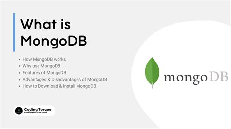 What Is Mongodb A Complete Guide Coding Torque