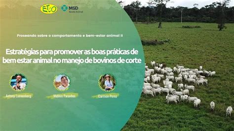 Estratégias Para Promover As Boas Práticas De Bem Estar Animal No