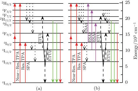 Up Conversion Luminescence Polarization Control In Er 3 Doped NaYF 4