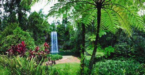 Waterfalls and Waterways Trail, Atherton Tablelands