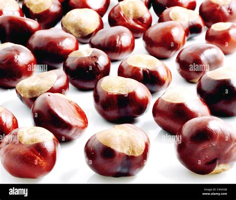 Chestnut Oil Extract Hi Res Stock Photography And Images Alamy