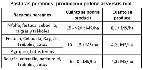 Pasturas Claves Para Producir Mas Carne Por Ha Opci N Rural