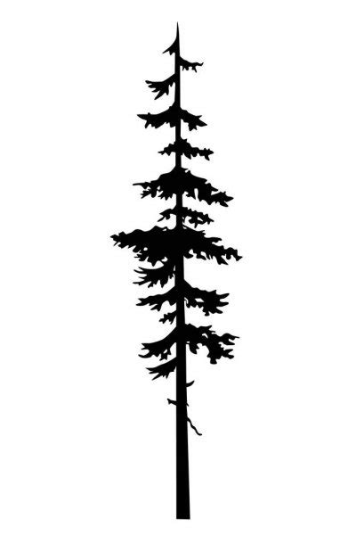 Pine Tree Tattoo Vector Coniferous Nature Vector Silhouette Isolated