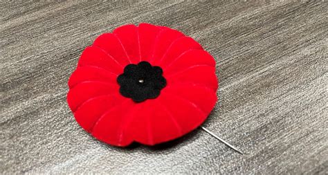 Remembrance Day: Canada poppy changes | CityNews Vancouver