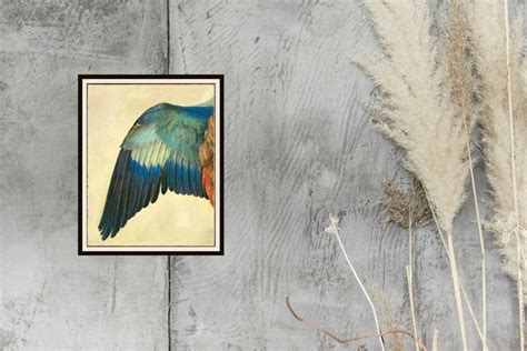 Albrecht Dürer wing of a European Roller Watercolor Etsy