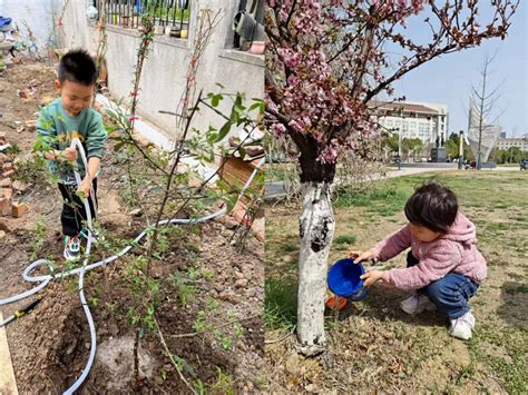 春木和鸣 共植美好——安农大幼儿园植树节倡议书 安徽农业大学幼儿园