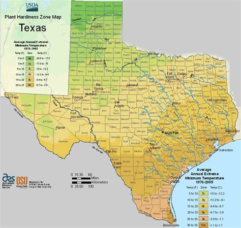 Texas Planting Zones - USDA Map Of Texas Growing Zones | Maputo, Texas