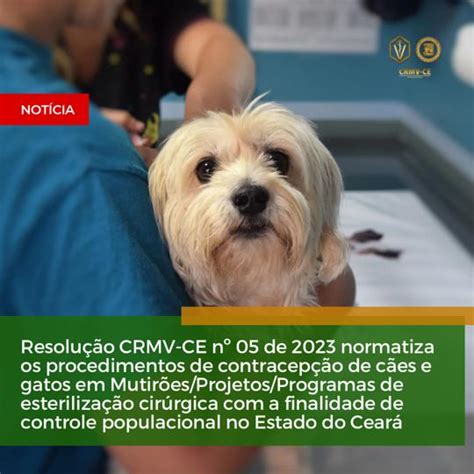 Resolu O Do Crmv Ce N Normatiza Os Procedimentos De