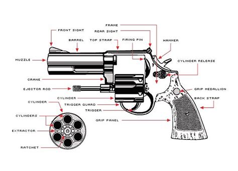 Taurus revolver ratchet gears.