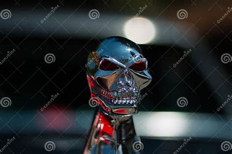 Skull Hood Ornament stock image. Image of black, chrome - 229572771