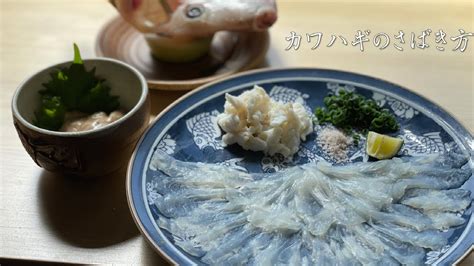 【絶品の肝醤油】カワハギのさばき方【刺身】【薄造り】 Youtube