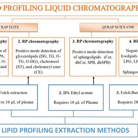 Experimental Workflow For Comprehensive Lipid Profile Analysis In Download Scientific Diagram